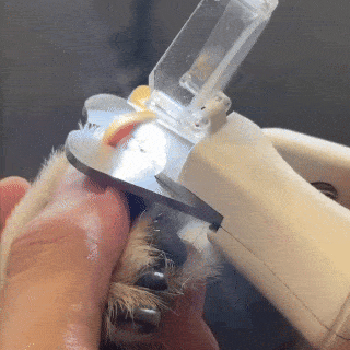 Cliply LED Pet Nail Clipper, See the Quick. Cut with Confidence.